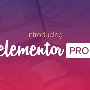 Elementor Pro - 4.0.3 & Ultraviewer 6.6.124